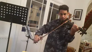 Very rough violin Loop (Boss RC1)