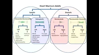 Heart Murmurs and Valvular Heart Disease (Live 7-30-2019)