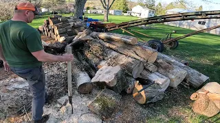 Bucking up all the logs in my woodyard with the 500I