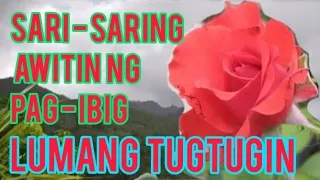 SARI-SARING AWITIN NG PAG-IBIG NA HINDI MALILIMUTAN | FEATURING LUMANG TUGTUGIN