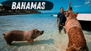 BEST THINGS To Do In EXUMA Bahamas