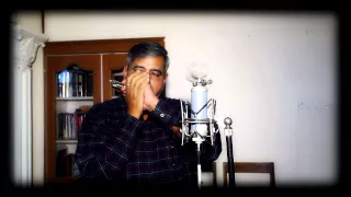 Main Shayar To Nahin (Bobby 1971) Harmonica Cover