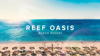 Єгипет. Чи є риф в готелі Reef Oasis Beach? Один з найкращих у Шарм ель Шейх!