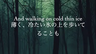 Alan Walker   「LILY」　和訳