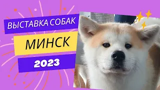 Выставка собак... Обзор....Кубок Минска 2023