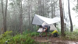 CAMP IN HEAVY RAIN AND THUNDER WITH A TRANSPARENT TARPAPER AND COMFORTABLE TENT