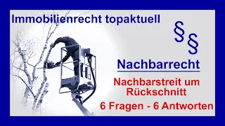 Rückschnitt - Rechte und Pflichten des Nachbarn  | Tutorial