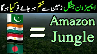 Amazon Rainforest Documentary In Urdu Amazon Jungle Facts Part 1 | ایمیزون برساتی جنگل | LalGulab