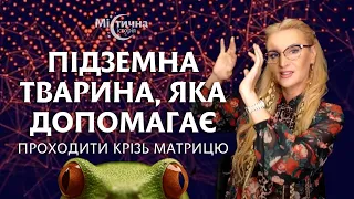 Підземна тварина, яка допомагає людям проходити крізь матрицю! Атмолог Ева