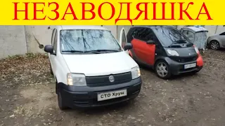 Fiat Panda 1.3 дизель не заводится масложор свечи накала ремонт двигателя