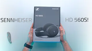 FIRST LOOK at the BRAND NEW HD560S! | First Impressions