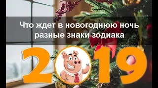 🎅 🎆Как встречать Новый год 2019 по знакам зодиака🎄🎀