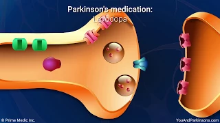 Treatment and Management of Parkinson’s Disease