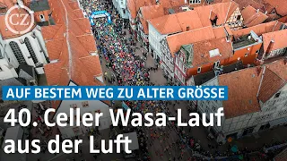 Auf bestem Weg zu alter Größe: 7000 starten beim 40. Celler Wasa-Lauf