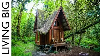 Enchanting Cabin In The Forest