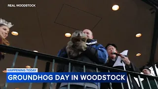 LIVE: Woodstock Willie set to make Groundhog Day prediction