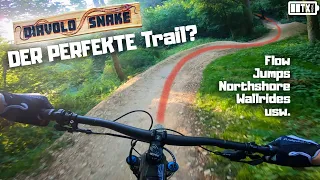 Neuer ZWEI MINUTEN TRAIL für Anfänger und Profis 🤩 ! Diavolo Snake Line - Jura Trails - Neumarkt