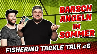 Barschangeln im ☀️ Sommer #Fisherino Tackle Talk #6