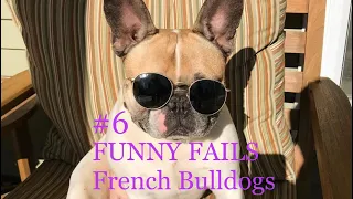 French Bulldogs Funny Moments & Fails #6 Compilation TRY NOT TO LAUGH Смешные французские бульдоги