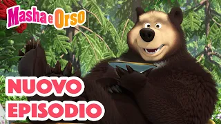 Masha e Orso 💥 Nuovo episodio! 👱‍♀️🐻 Dolce come il miele 🍯🐝 Cartoni animati per bambini