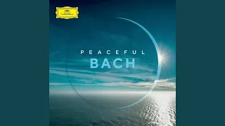 J.S. Bach: Suite for Cello Solo No. 6 in D, BWV 1012: 4. Sarabande