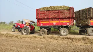 हाथी जैसी ताकत है इसमेंMahindra Arjun 605 full load trolley sugar khet se khincha bahar