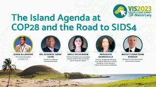 The Island Agenda at COP28 and the Road to SIDS4