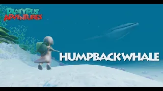 🐋 Humpback Whale 🐋 - (Unreal Engine 4) | Platypus Adventures