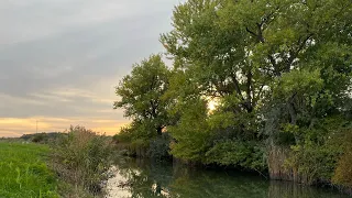 Őszi🍁 pergetés a 90'es évek csalijával, és a nagy partrendezés🤪