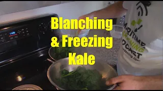 How to Blanch and Freeze a Lot of Kale