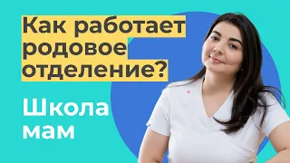 Как работает родовое отделение? / Арина Аликовна Карасова