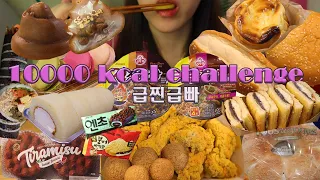 [폭식브이로그]🥨10000칼로리챌린지*급찐급빠😁결과는??(버거킹,뿌링클,뚜레쥬르,진진짜라,크림진짬뽕,편의점,김밥,노브랜드)만칼로리 먹방브이로그mukbang vlog #8 찐하루