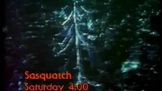 Sasquatch on KCST 1980