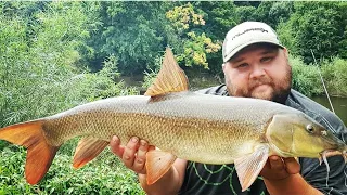 Catching Barbel On A Low And Clear River Severn