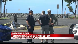 Honolulu Police arrest 18-year-old in double Waianae murder case