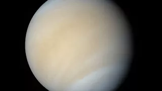 Влияние планет в синастрии  Венера