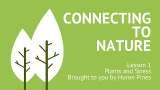 Connecting to Nature: Plants and Stress