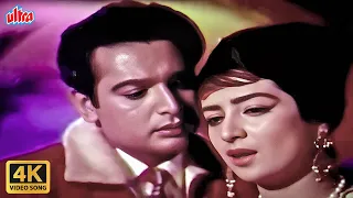 Tujhe Pyar Karte Hain Karte Rahenge 4K Song : Mohd Rafi | Suman Kalyanpur | Biswajeet | Saira Banu