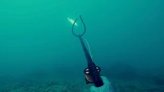 דייג בצלילה חופשית - אינטיאס ופלמידה - 03.06.16 - Spearfishing Israel - Amberjack & Spanish Mackrel