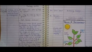 Biological Science||Macro Lesson Plan||Topic-Photosynthesis||Class-7th||B.Ed.