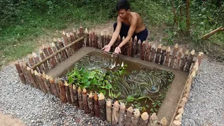 Build Mini Pond For Eels Farming - How To Build Eel Pond