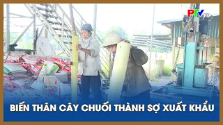 Biến thân cây chuối thành sợi xuất khẩu | Tin tức Phú Thọ