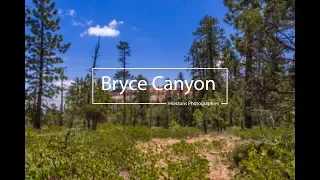 Bryce Canyon - Timelapse - 4K -