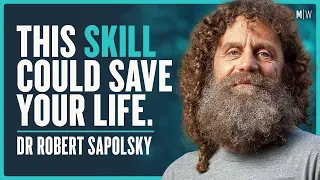 The Shocking New Science Of How To Manage Your Stress - Dr Robert Sapolsky | Modern Wisdom 693