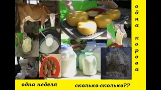 Корова - выгодное вложение или нерентабельный проект? Что говорят цифры