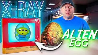 What Did We Find in The ALIEN EGG?