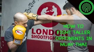 Muay Thai How to Fight Taller Opponents - Dismantling the Jab