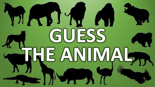 Can you guess the animal names by their shadows? | Shadow Challenge | Guessing Game