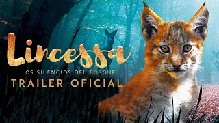 Lincessa. Los Silencios del Bosque | Trailer Oficial | Estreno 21 de abril