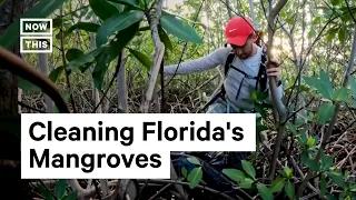 Florida Man Collects Trash From Mangroves For 5+ Years